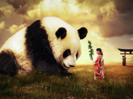 Campus de l’agroécologie